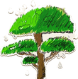 Novice tree mark